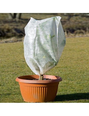 Cappuccio termico protettivo in tnt per piante e agrumi 160x200 - Confezione da 1 pezzo