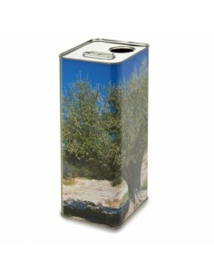 Lattina contenitore in metallo per olio extravergine d'oliva da 5 litri con tappo incluso nel prezzo - Confezione da 12 pezzi