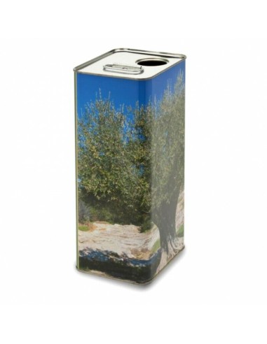 Lattina olio extravergine d'oliva grafica albero - 5 litri